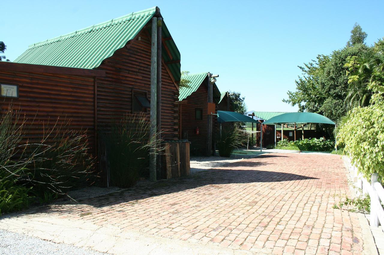 Mountain Breeze Log Cabins สตอร์มริเวอร์ ภายนอก รูปภาพ