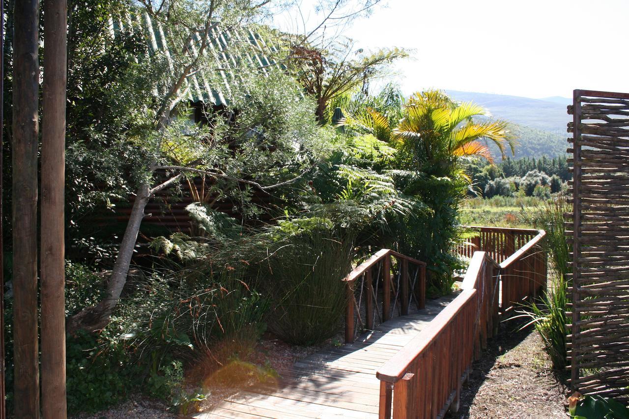 Mountain Breeze Log Cabins สตอร์มริเวอร์ ภายนอก รูปภาพ
