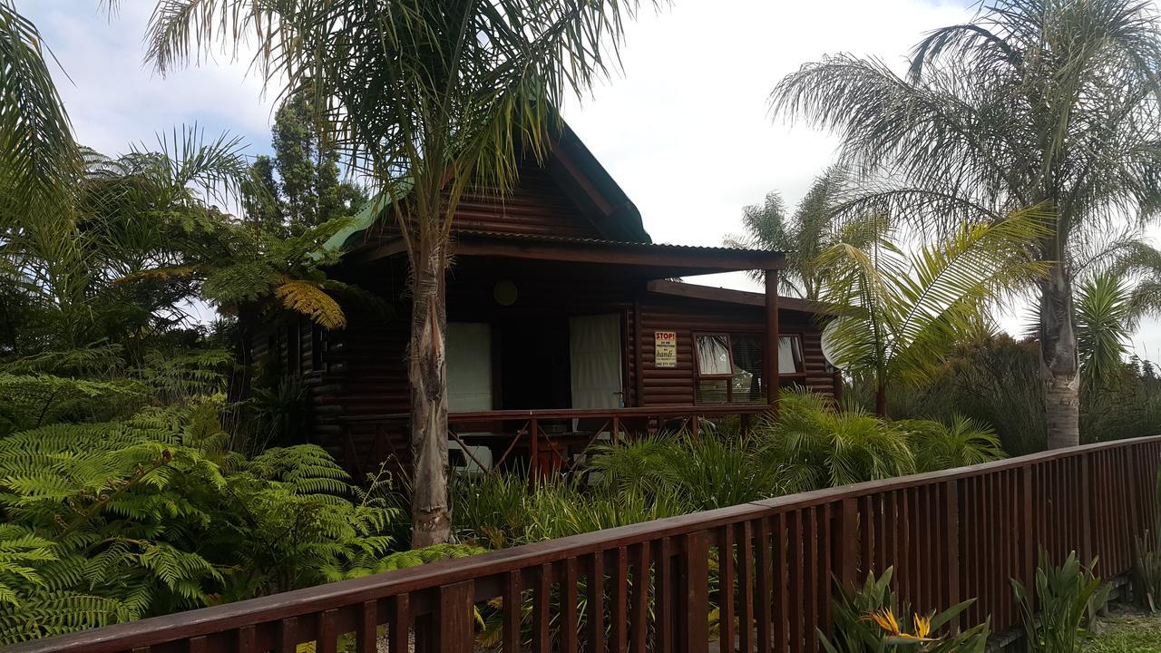 Mountain Breeze Log Cabins สตอร์มริเวอร์ ภายนอก รูปภาพ
