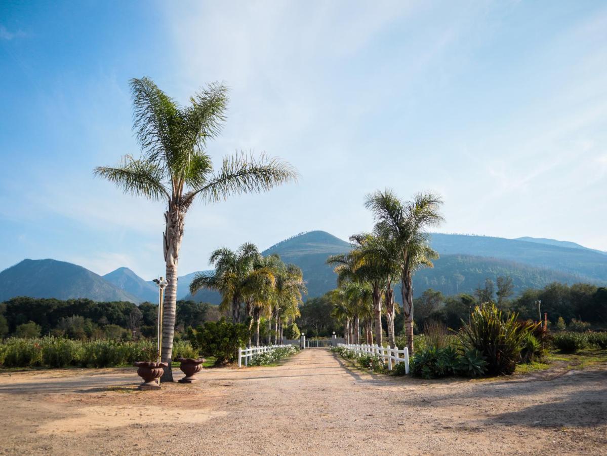 Mountain Breeze Log Cabins สตอร์มริเวอร์ ภายนอก รูปภาพ